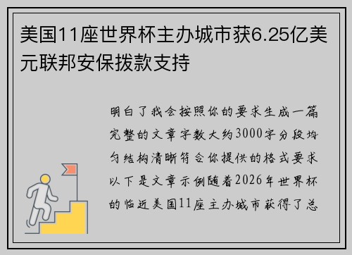 美国11座世界杯主办城市获6.25亿美元联邦安保拨款支持 美国11座世界杯主办城市获6.25亿美元联邦安保拨款支持